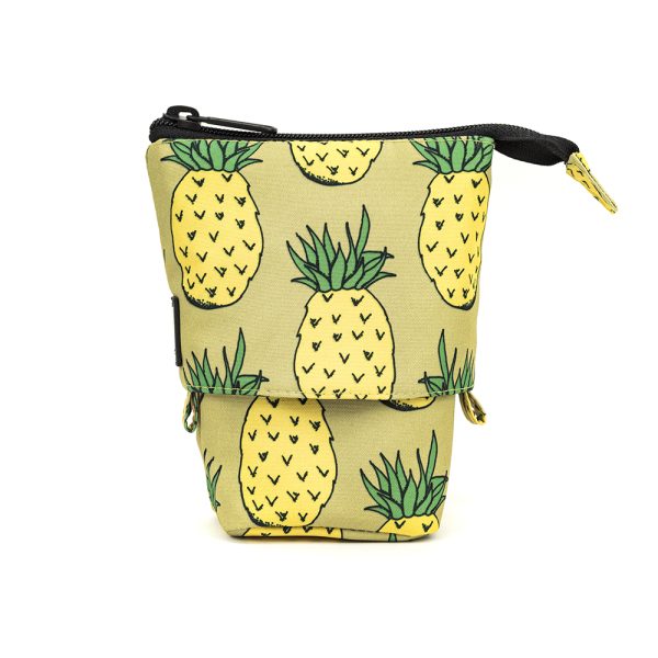 organizer_pineapple_1