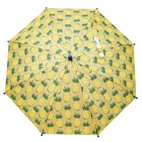 parasol_pineapple_4