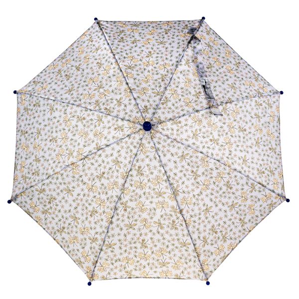 motyl_parasol_1